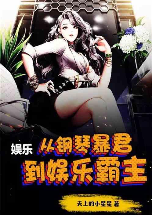 娱乐小说   钢琴的